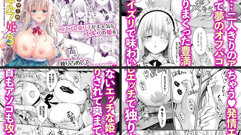 オタサーのエルフ姫3のエロアイキャッチ画像