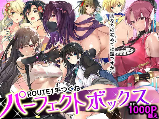 ROUTE1 平つくね パーフェクトボックスのエロ画像